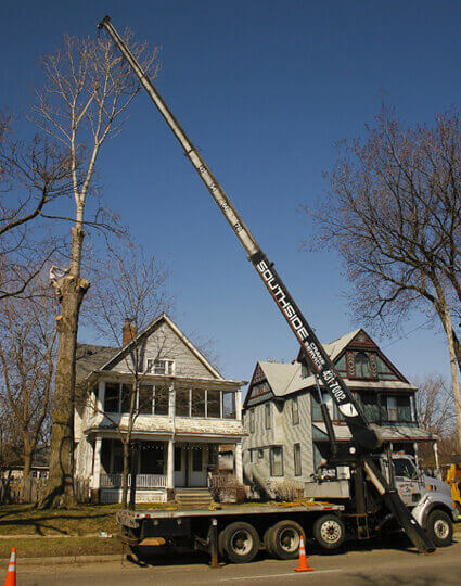 crane securing tree top in residential area