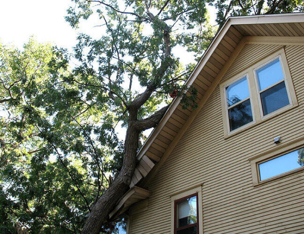 Heavy tree fell on side of house causing damage.