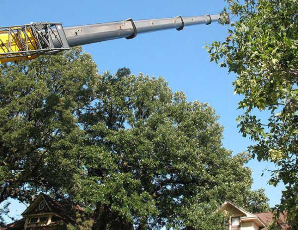 tree removal using large crane in residential area